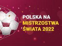 Polska na Mistrzostwach Świata